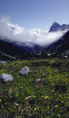 Glacier National Park, British Columbia, Canada