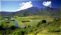 Hanalei Valley