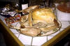 THE Bird!