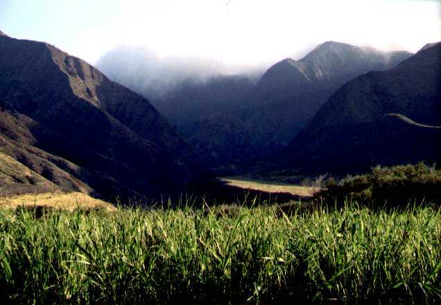 West Maui Mountains, Olowalu, Maui