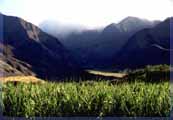 West Maui mountains near Olowalu