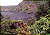 Kilauea Iki Crater