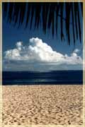 Beach Near Poipu