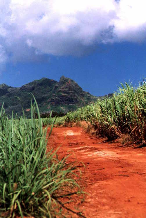 Red Dirt Road, Kauai