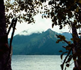 Lake Crescent, ONP, Copyright 2000 Karen and James Byerlys