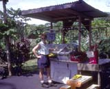 Karen at Hana Fruit Stand