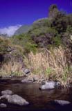 Iao Needle